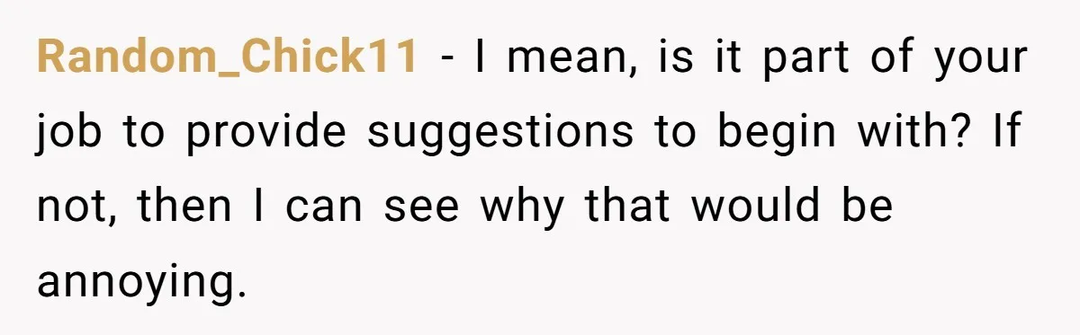 Random_Chick11 − I mean, is it part of your job to provide suggestions to begin with? If not, then I can see why that would be annoying.