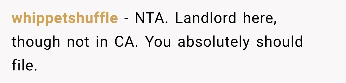 whippetshuffle − NTA. Landlord here, though not in CA. You absolutely should file.