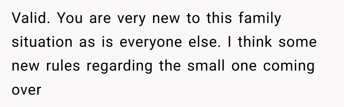 Valid. You are very new to this family situation as is everyone else. I think some new rules regarding the small one coming over