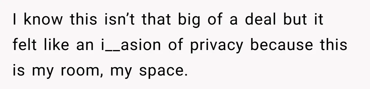 I know this isn’t that big of a deal but it felt like an i__asion of privacy because this is my room, my space.
