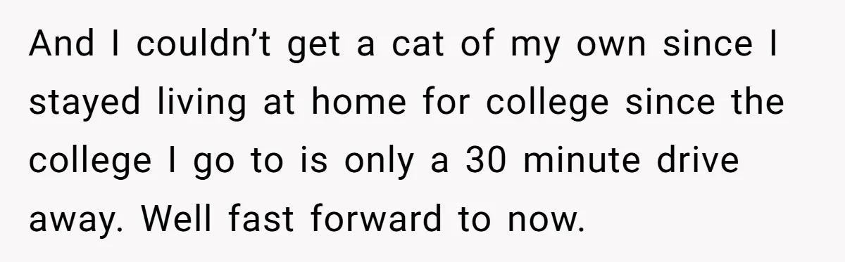 And I couldn’t get a cat of my own since I stayed living at home for college since the college I go to is only a 30 minute drive away....