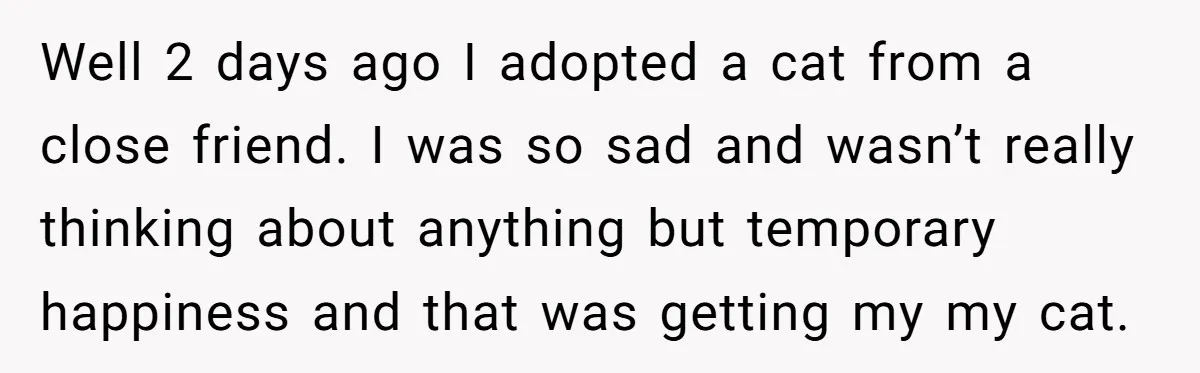 Well 2 days ago I adopted a cat from a close friend. I was so sad and wasn’t really thinking about anything but temporary happiness and that was getting my...