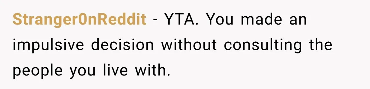 Stranger0nReddit − YTA. You made an impulsive decision without consulting the people you live with.