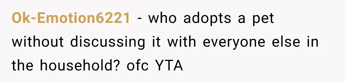 Ok-Emotion6221 − who adopts a pet without discussing it with everyone else in the household? ofc YTA
