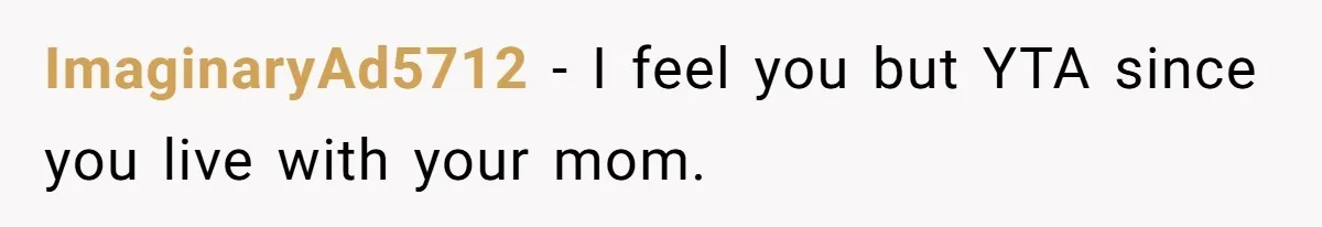ImaginaryAd5712 − I feel you but YTA since you live with your mom.