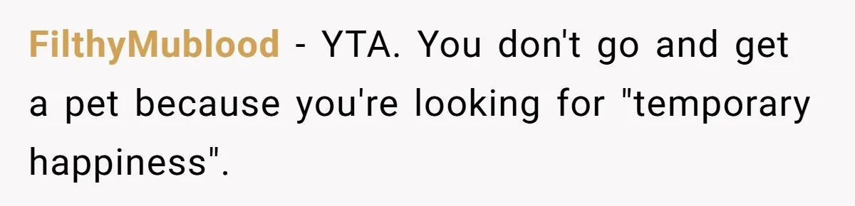 FilthyMublood − YTA. You don't go and get a pet because you're looking for "temporary happiness".