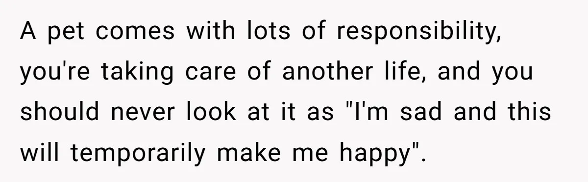 A pet comes with lots of responsibility, you're taking care of another life, and you should never look at it as "I'm sad and this will temporarily make me happy".