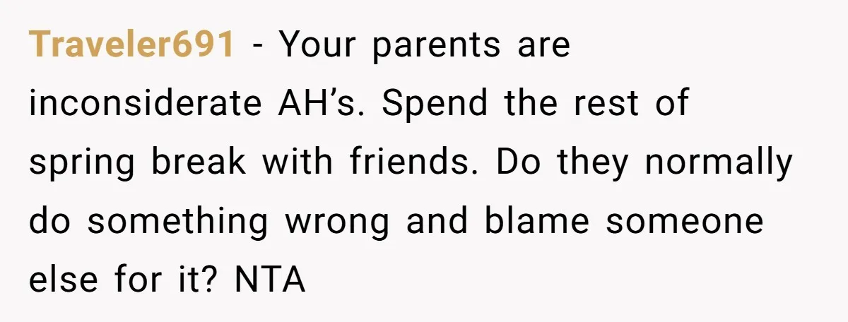 Traveler691 − Your parents are inconsiderate AH’s. Spend the rest of spring break with friends. Do they normally do something wrong and blame someone else for it? NTA