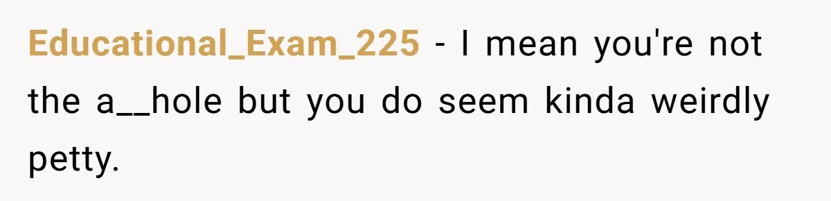 Educational_Exam_225 − I mean you're not the a__hole but you do seem kinda weirdly petty.