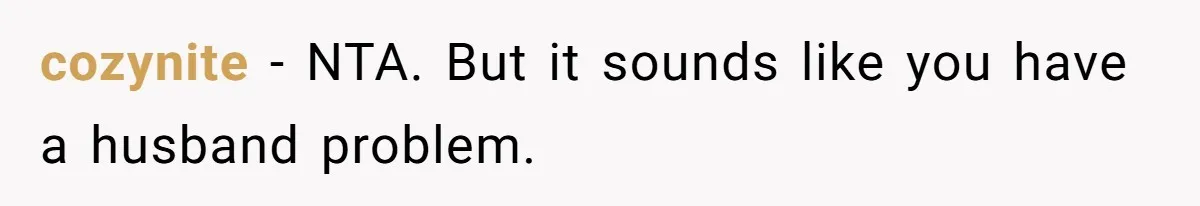 cozynite − NTA. But it sounds like you have a husband problem.