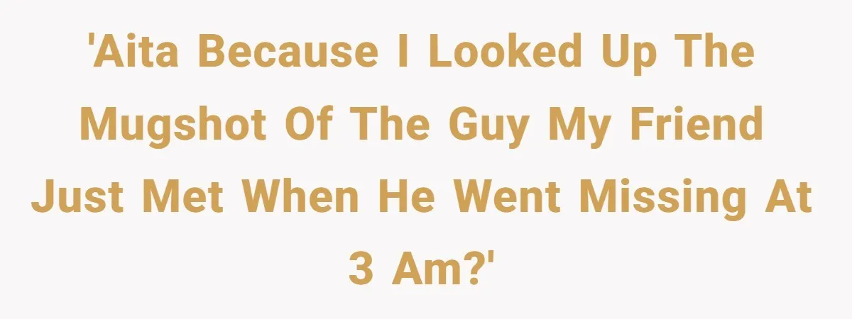 'AITA because I looked up the mugshot of the guy my friend just met when he went missing at 3 am?'