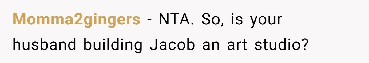Momma2gingers − NTA. So, is your husband building Jacob an art studio?