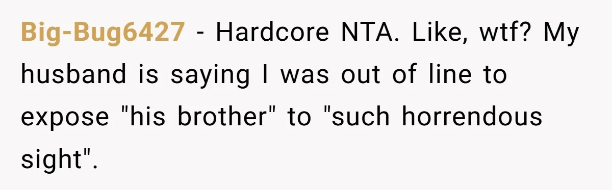 Big-Bug6427 − Hardcore NTA. Like, wtf? My husband is saying I was out of line to expose "his brother" to "such horrendous sight".