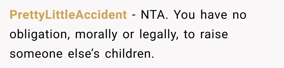 PrettyLittleAccident − NTA. You have no obligation, morally or legally, to raise someone else’s children.