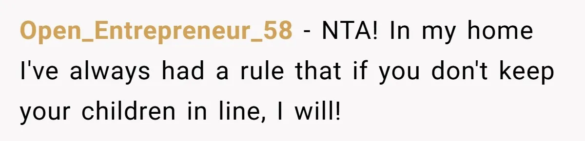 Open_Entrepreneur_58 − NTA! In my home I've always had a rule that if you don't keep your children in line, I will!