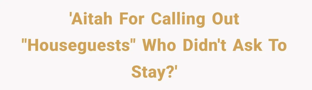 'AITAH for calling out "houseguests" who didn't ask to stay?'