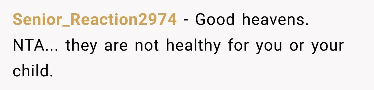 Senior_Reaction2974 − Good heavens. NTA... they are not healthy for you or your child.