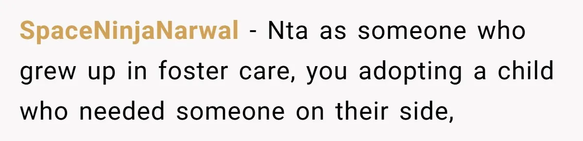 SpaceNinjaNarwal − Nta as someone who grew up in foster care, you adopting a child who needed someone on their side,