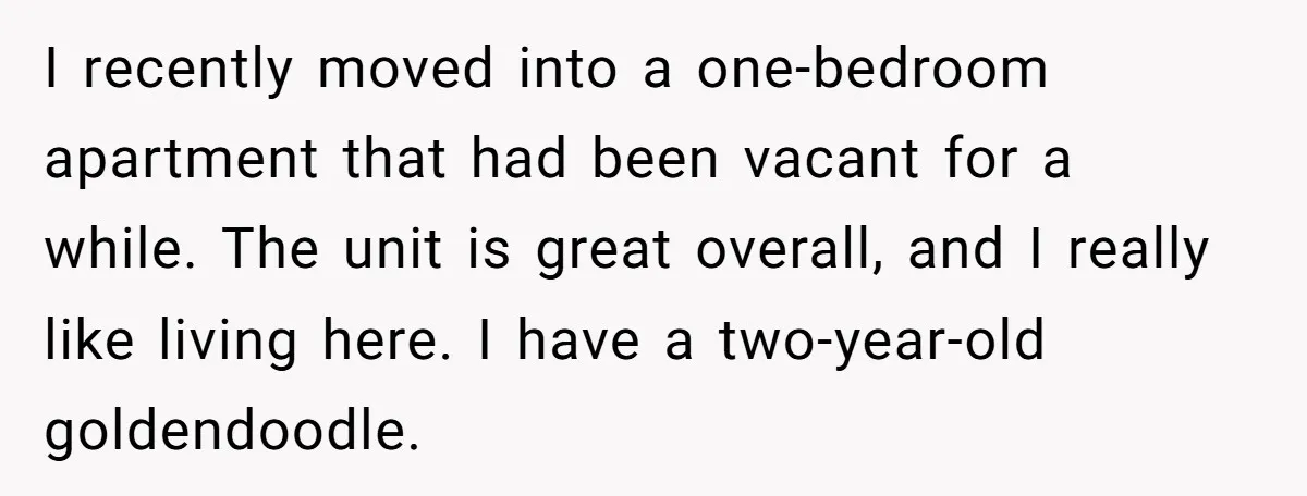 I recently moved into a one-bedroom apartment that had been vacant for a while. The unit is great overall, and I really like living here. I have a two-year-old goldendoodle.