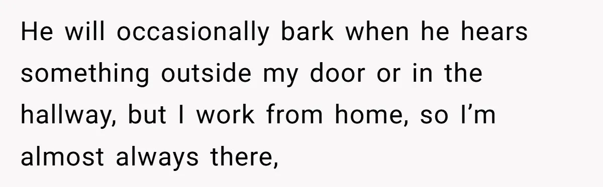 He will occasionally bark when he hears something outside my door or in the hallway, but I work from home, so I’m almost always there,