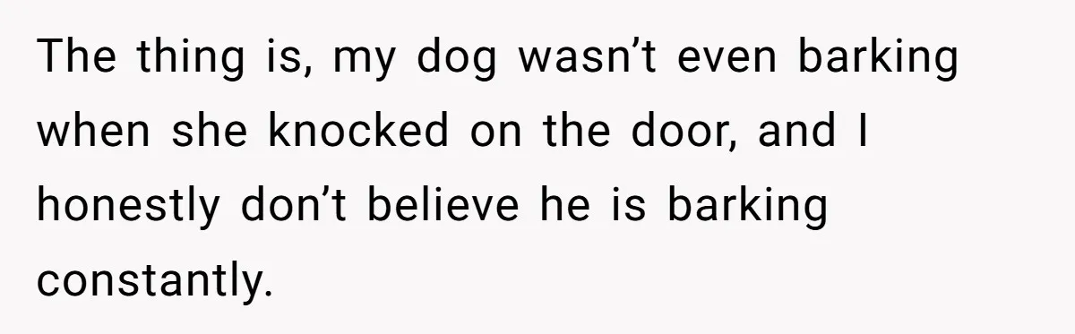 The thing is, my dog wasn’t even barking when she knocked on the door, and I honestly don’t believe he is barking constantly.