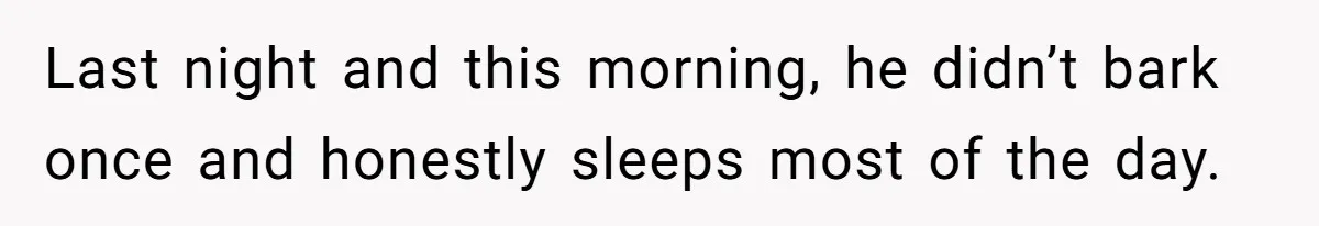 Last night and this morning, he didn’t bark once and honestly sleeps most of the day.