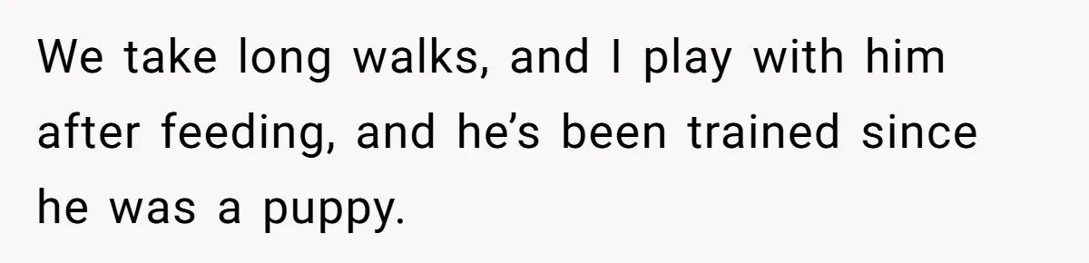 We take long walks, and I play with him after feeding, and he’s been trained since he was a puppy.