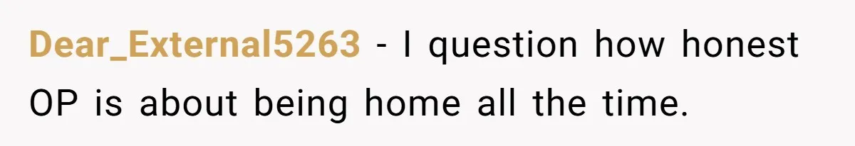 Dear_External5263 − I question how honest OP is about being home all the time.