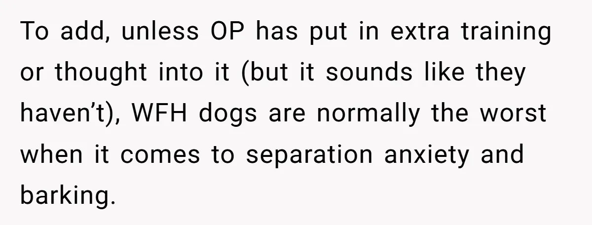 To add, unless OP has put in extra training or thought into it (but it sounds like they haven’t), WFH dogs are normally the worst when it comes to separation...