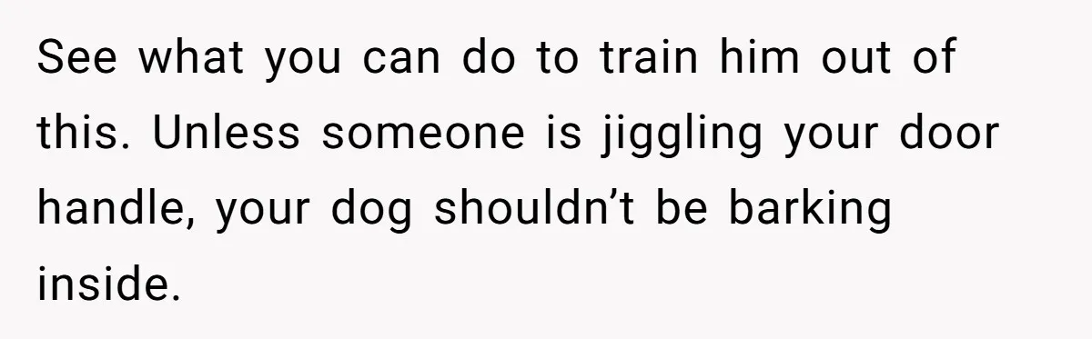 See what you can do to train him out of this. Unless someone is jiggling your door handle, your dog shouldn’t be barking inside.