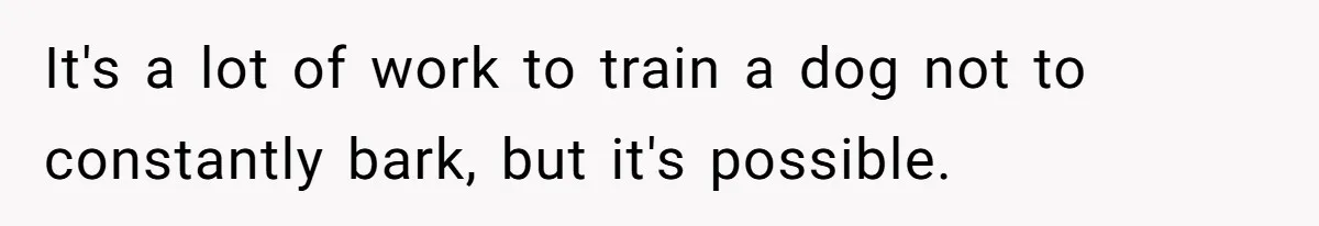 It's a lot of work to train a dog not to constantly bark, but it's possible.