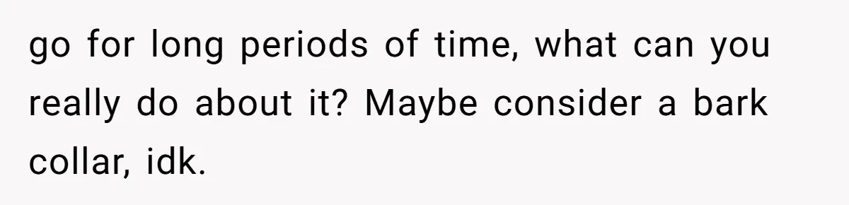 go for long periods of time, what can you really do about it? Maybe consider a bark collar, idk.