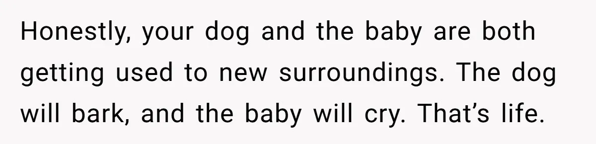 Honestly, your dog and the baby are both getting used to new surroundings. The dog will bark, and the baby will cry. That’s life.
