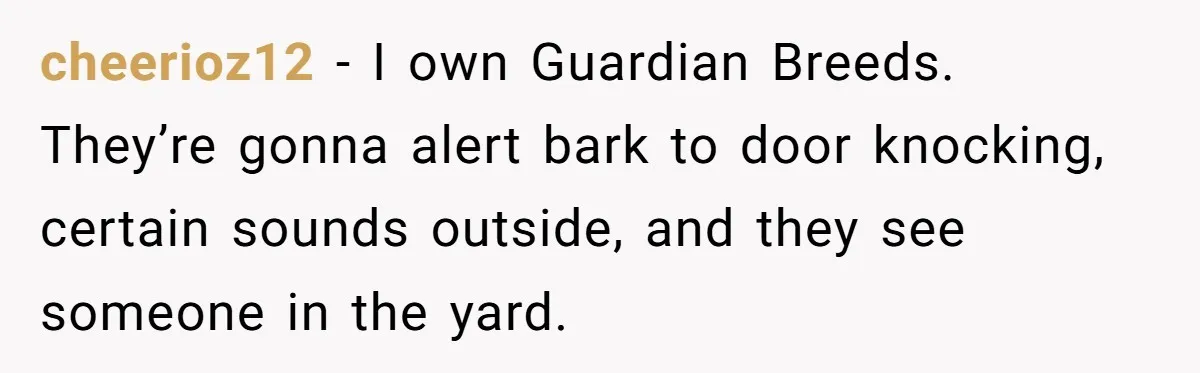cheerioz12 − I own Guardian Breeds. They’re gonna alert bark to door knocking, certain sounds outside, and they see someone in the yard.