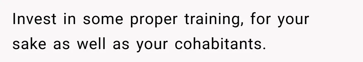 Invest in some proper training, for your sake as well as your cohabitants.