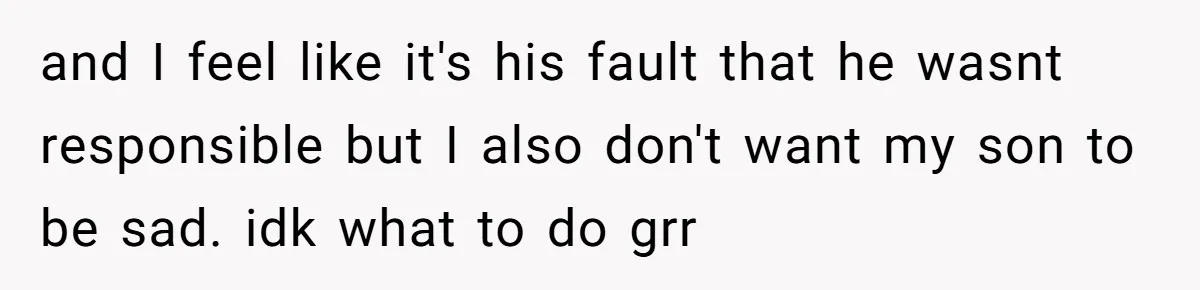 and I feel like it's his fault that he wasnt responsible but I also don't want my son to be sad. idk what to do grr