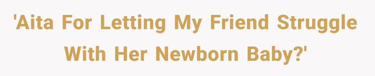 Woman Refuses Desperate Single Mom Move In Request With Newborn Baby 'AITA for letting my friend struggle with her newborn baby?'