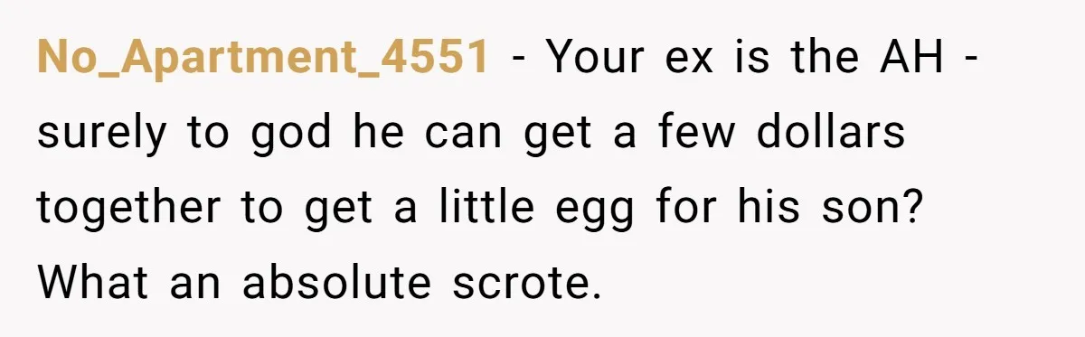 No_Apartment_4551 − Your ex is the AH - surely to god he can get a few dollars together to get a little egg for his son? What an absolute scrote.