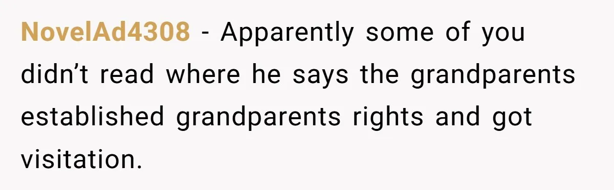 NovelAd4308 − Apparently some of you didn’t read where he says the grandparents established grandparents rights and got visitation.