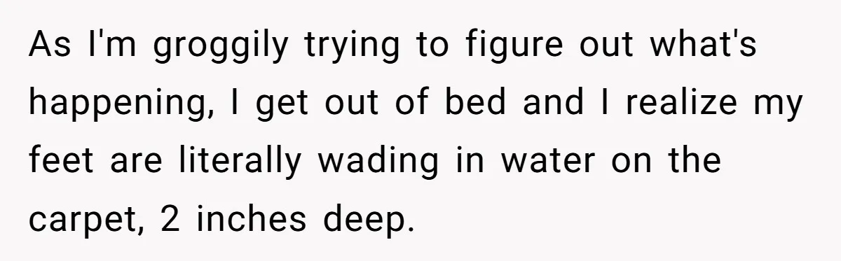 As I'm groggily trying to figure out what's happening, I get out of bed and I realize my feet are literally wading in water on the carpet, 2 inches deep.