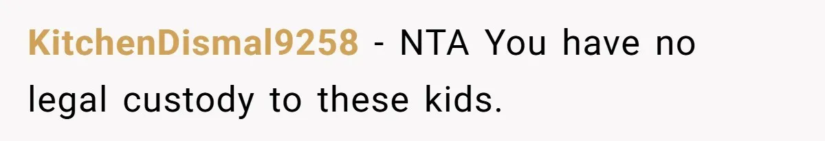 KitchenDismal9258 − NTA You have no legal custody to these kids.