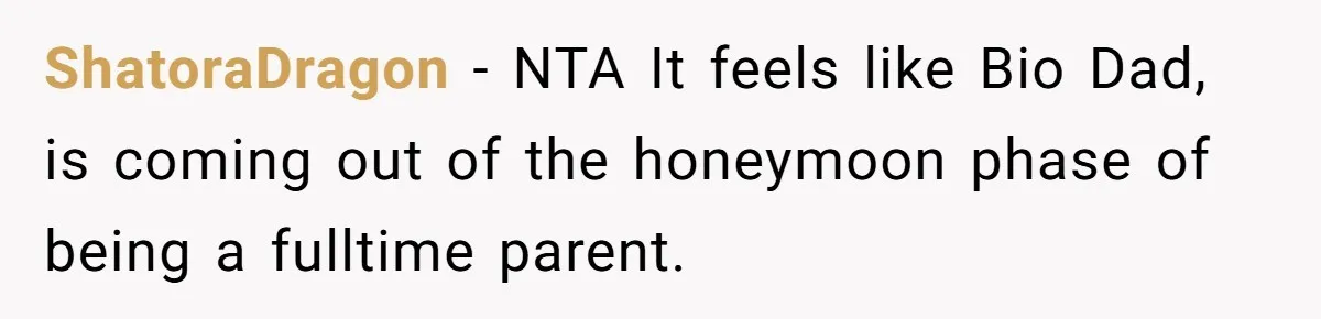 ShatoraDragon − NTA It feels like Bio Dad, is coming out of the honeymoon phase of being a fulltime parent.