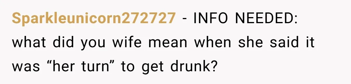 Sparkleunicorn272727 − INFO NEEDED: what did you wife mean when she said it was “her turn” to get drunk?