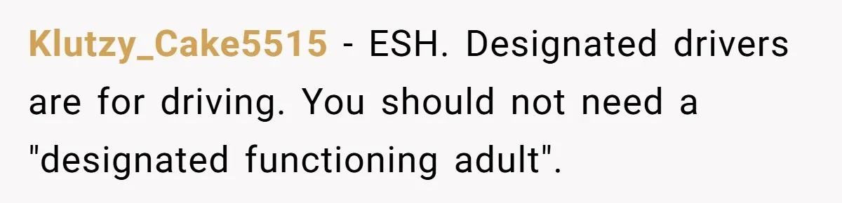 Klutzy_Cake5515 − ESH. Designated drivers are for driving. You should not need a "designated functioning adult".