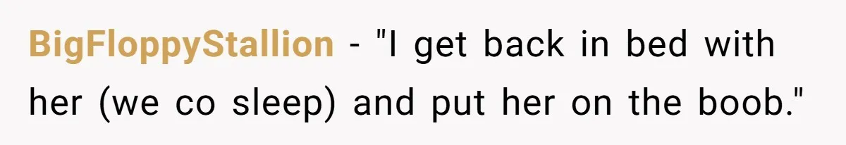 BigFloppyStallion − "I get back in bed with her (we co sleep) and put her on the boob."