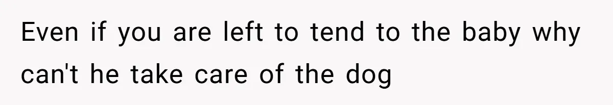 Even if you are left to tend to the baby why can't he take care of the dog