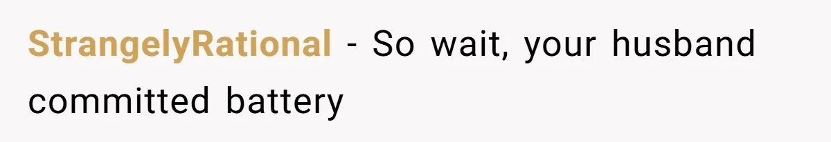 StrangelyRational − So wait, your husband committed battery