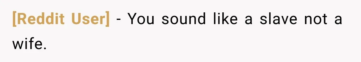 [Reddit User] − You sound like a slave not a wife.