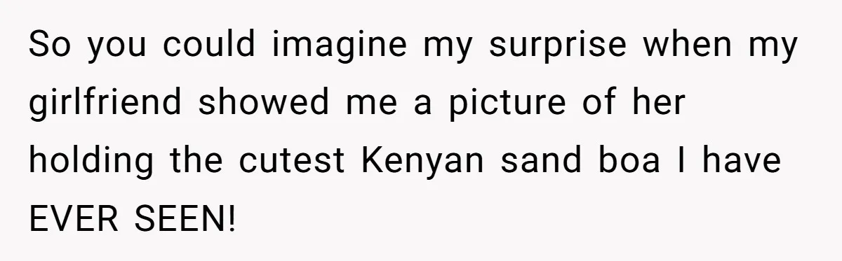 So you could imagine my surprise when my girlfriend showed me a picture of her holding the cutest Kenyan sand boa I have EVER SEEN!