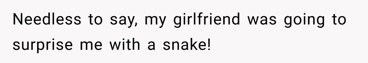 Needless to say, my girlfriend was going to surprise me with a snake!